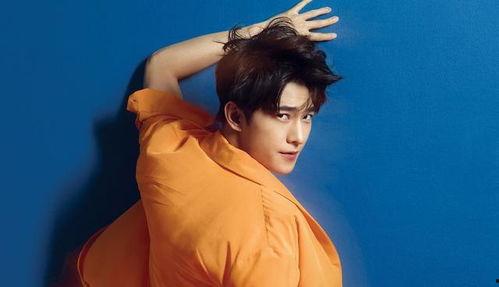 圈内爆料肖战华晨宇,揭秘娱乐圈背后的精彩故事  第3张